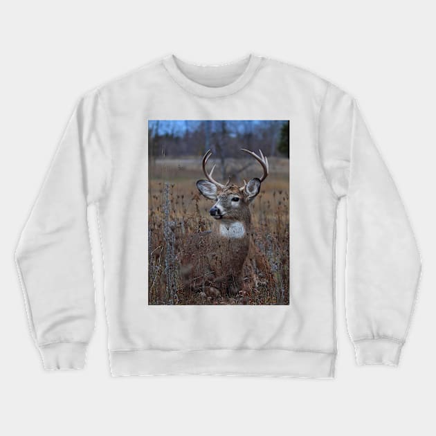 Splendor in the Grass - White-tailed Deer Crewneck Sweatshirt by Jim Cumming